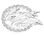 mandala dauphin dessin à colorier