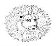 mandala lion dessin à colorier