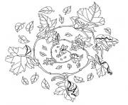 mandala automne dessin à colorier