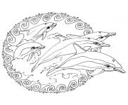 dauphin coeur dessin à colorier