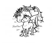 Coloriage poney et chevaux dessin