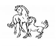 Coloriage fillette sur un poney dessin