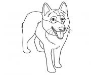 chien husky dessin à colorier
