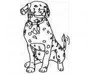 chien dalmatien dessin à colorier