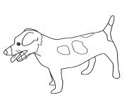 Coloriage bulldog anglais compagnon doux et gentil dessin