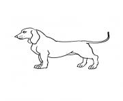 chien saucisse dessin à colorier