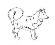 Coloriage German Shepherd dog dessin