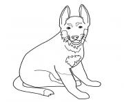 chien berger allemand dessin à colorier