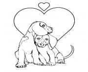 Coloriage dessin chien saint bernard dessin