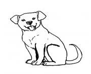 Coloriage dessin chien dachsund dessin