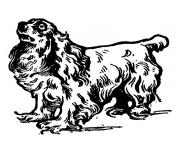 chien cavalier king charles dessin à colorier