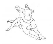 Coloriage chien adulte magnifique dessin