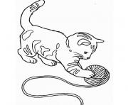 chat chaton dessin à colorier
