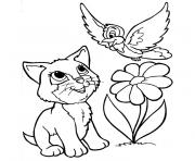 chat oiseau fleur dessin à colorier