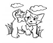 chat sauvage dessin à colorier