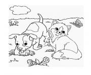 chaton et chiot dessin à colorier