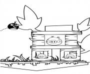 Coloriage angry birds dohors les cochons dessin