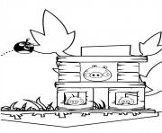 Coloriage deux angry birds cochons peureux dessin