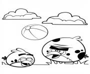 Coloriage angry birds jouent au ballon de foot