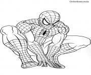 spiderman 127 dessin à colorier