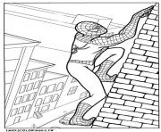 spiderman 244 dessin à colorier