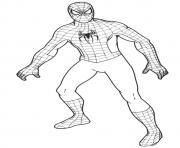 Coloriage spiderman 15 dessin