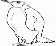 dessin animaux pingouin dessin à colorier