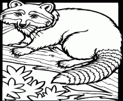 Coloriage lion animaux sauvages de la jungle dessin