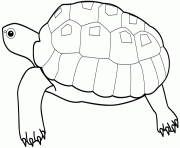 dessin animaux tortue dessin à colorier
