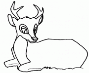 dessin animaux biche assise dessin à colorier