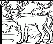 Coloriage animaux maternelle de la jungle dessin