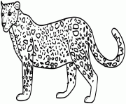 dessin animaux leopard dessin à colorier