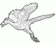 dessin dinosaure archaeopteryx dessin à colorier