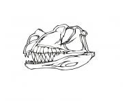 os de dinosaure dessin à colorier