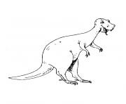 Coloriage dinosaure tyrannosaure dessin