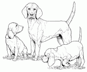 dessin chien beagle avec deux petits chiots dessin à colorier