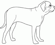 dessin chien mastiff dessin à colorier