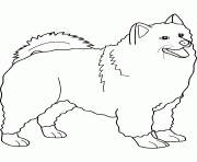dessin chien samoyed dessin à colorier