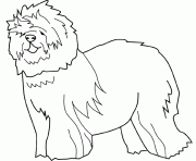 Coloriage dessin chien berger dessin