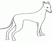 dessin chien greyhound dessin à colorier