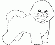 dessin chien bichon frise dessin à colorier