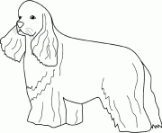 dessin chien cocker dessin à colorier
