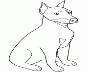 dessin chien doberman assis dessin à colorier