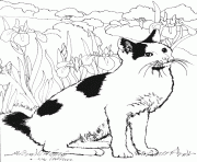 Un chat dans le jardin dessin à colorier