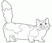 chat Munchkin dessin à colorier