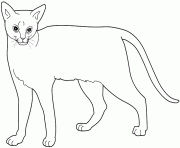 Coloriage chat British Shorthair dessin