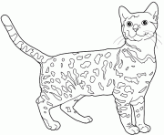 chat Bengal chat leopard dessin à colorier