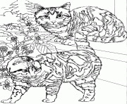 deux chats sur des marches dessin à colorier