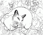 un chat allonge sur des fleurs dessin à colorier