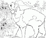 Coloriage un chat renifle les fleurs